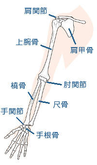 上肢 腕 手首 肘 肩 の後遺障害 労災 大阪労災 労働法律事務所